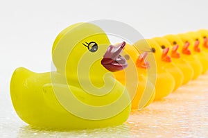 Rubber Ducks in a Row