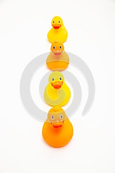 Rubber ducks in a row isolated on white background, above view