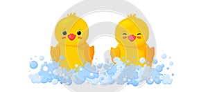 Rubber ducks in soap foam with bubbles isolated in white background. Front view of yellow plastic duckling toys in suds