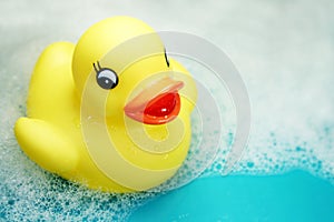 Rubber ducky at bath-time