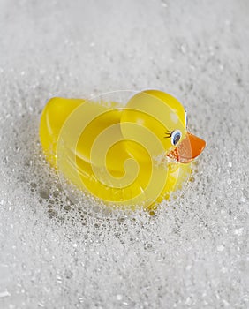 Rubber Ducky bathtime