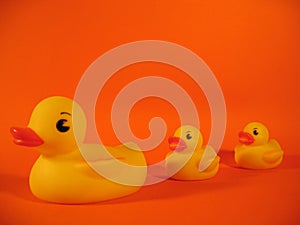 Rubber Ducky Family I