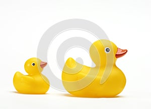 Rubber Duckys