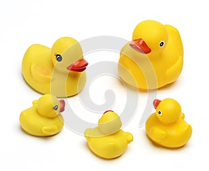 Rubber Duckys