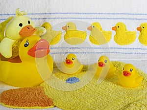 Rubber Duckys