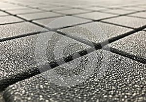 Accentuates the surface texture, enhancing the details of each