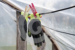 Rubber garden gloves hanging on line with clothespins in plastic polythene greenhouse