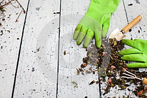 Rubber green safety gloves hand shovel and gardening rake on wooden board agriculture concept