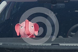 Rubber inflatable pink elephant animal toys on the front seat of a car, on the back seat a white cow. background with shadow