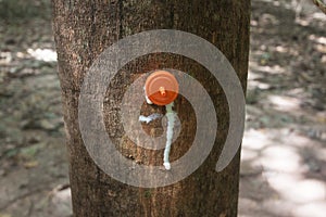 Rubber injection technology.