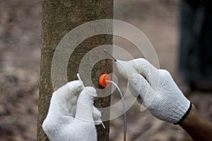 Rubber injection technology.