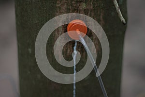 Rubber injection technology.