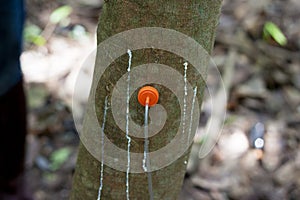 Rubber injection technology.