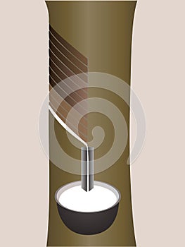 Rubber latex extracted from rubber tree isolated on beige background. photo