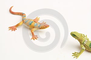Rubber lizard toy set isolated on a white background