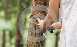 Rubber tapping