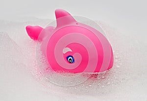 Rubber whale toy