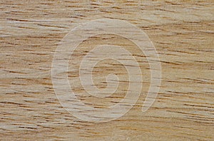 Rubber wood texture background