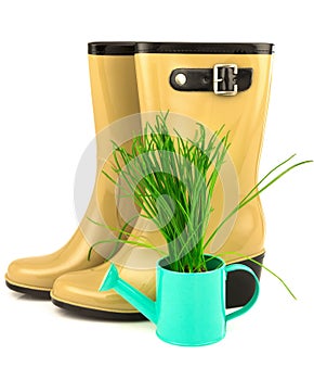 Rubber yellow boots with spring grass in the blue watering can