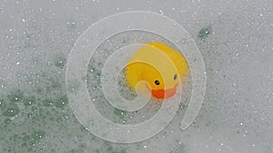 Rubber yellow duck toy floats in water in bath with foam