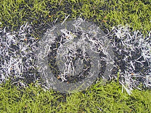 Rubbery base of soccer turf.  Green synthetic artificial grass