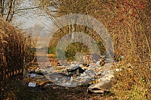 Rubbish in forest photo