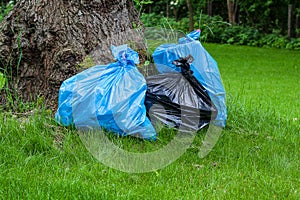 Rubbish sacks on grass