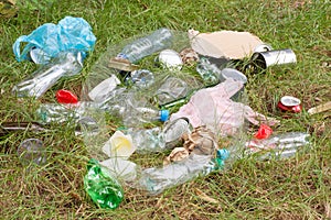 Rubbish such as plastic and glass bottles, tins, cans and pieces of paper on grass