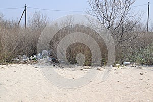 Rubbish under the bushes in nature. Garbage left by tourists