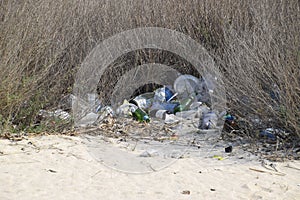 Rubbish under the bushes in nature. Garbage left by tourists