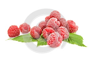 Rubusberry over a white background