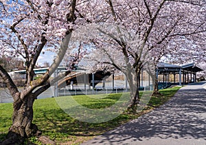 Ruby Amphitheater by walking trail by the river in Morgantown WV