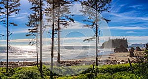 Ruby Beach landscape, Washington state, USA