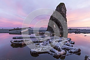 Ruby Beach Purple Twilight