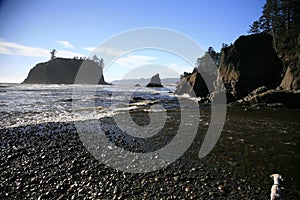 Ruby Beach Twin Rocks Washington at sunset