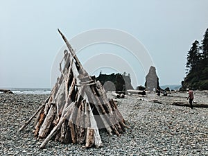 Ruby Beach, Washington State, USA