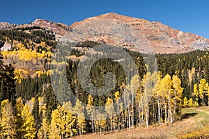Ruby Range in the Autumn, viewed from Kebler Pass Road.