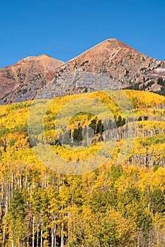 Ruby Range in the Autumn, viewed from Kebler Pass Road.