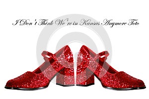 Ruby Red Slippers with red glitter isolated on white with room for your text photo