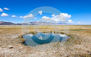 Ruby Valley Hot Springs - Nevada