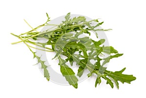 Ruccola