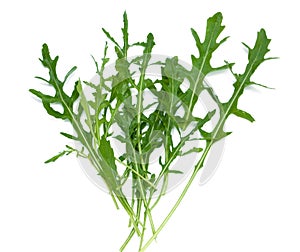 Ruccola