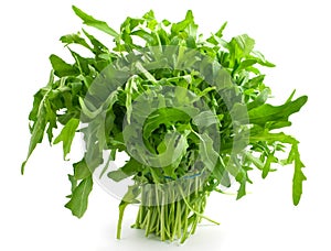 Ruccola