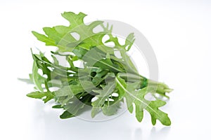 Ruccola