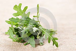 Ruccola