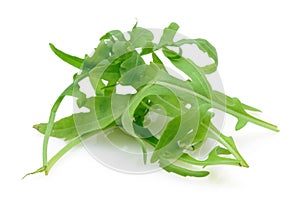 Ruccola leaves