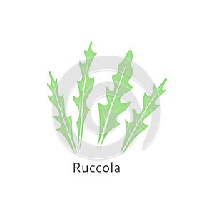Ruccola leaves isolated on white background. Healthy salad.