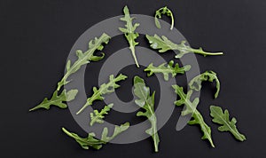 Ruccola leaves