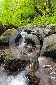 Ruckel Creek in Columbia River Gorge