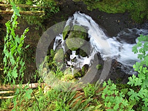 Ruckel Creek in Oregon